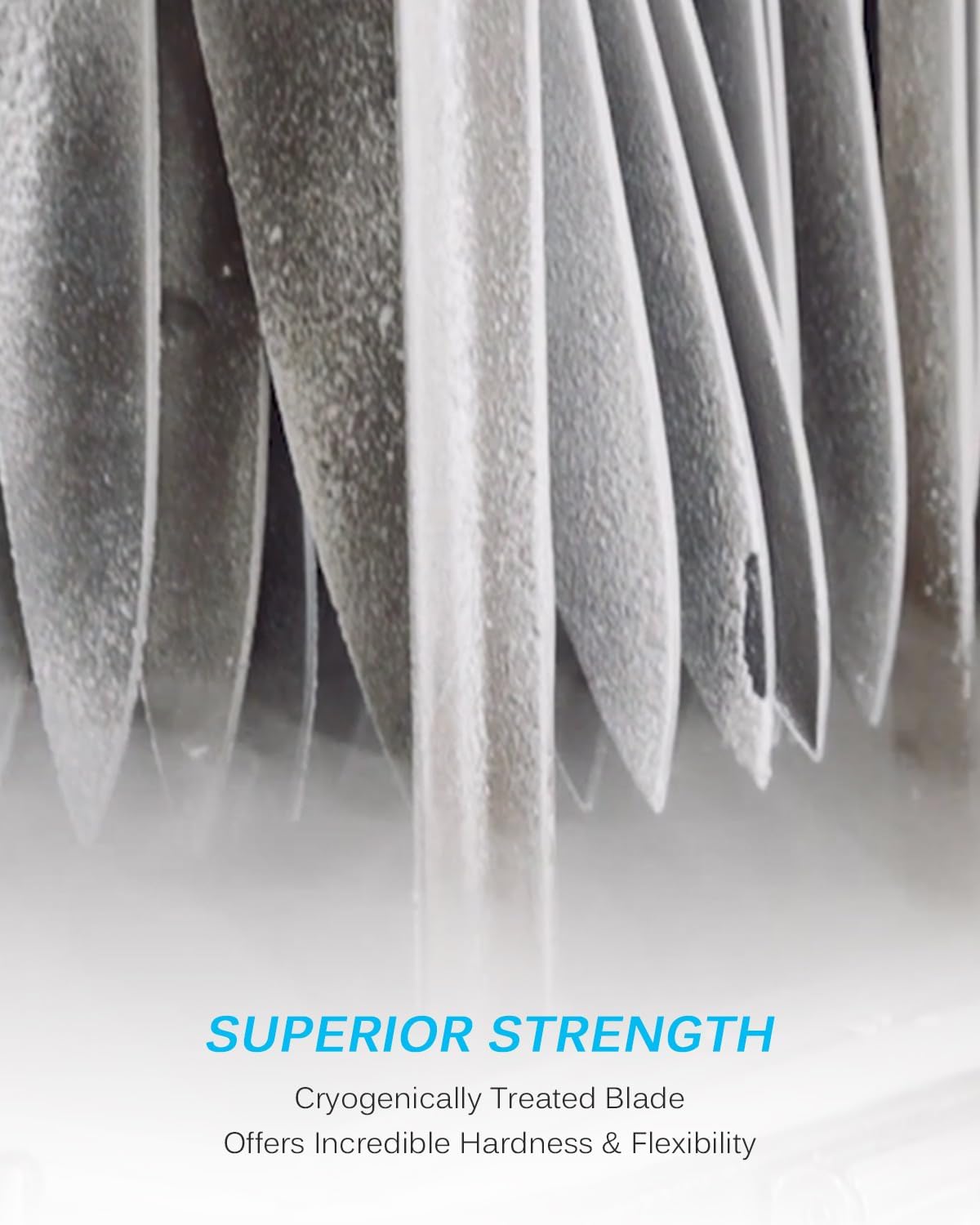 KYOKU 8" Chef Knife, Samurai Series Meat Cutting Knife with Pakkawood Handle & Mosaic Pin, Japanese High Carbon Steel Knife, Full Tang Cutting Chopping Knife for Vegetable Fruit with Sheath and Case