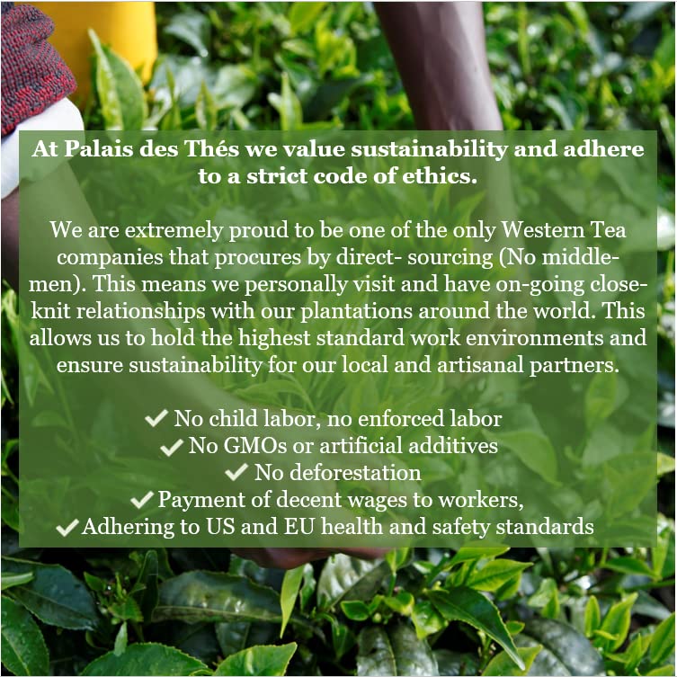 Palais des Thés - N°25 Green Tea - Holiday Blend with Citrus, Rose, Almond, and Spices - 3.5oz Loose Leaf Metal Gift Tin, Serves 20-25 Cups