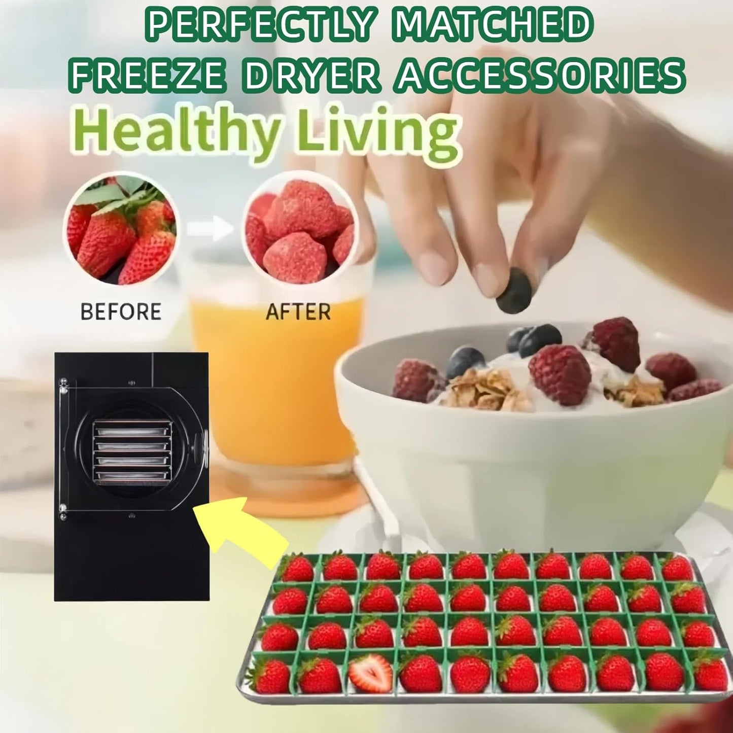 5 Sets Medium Freeze Dryer Tray Dividers Compatible with Harvest Right Trays, Freeze Dried Strawberrie Candy Fruit Dog Cat Treats Tray Dividers, Ideal Accessories for Freeze Dryer Owner(Green)