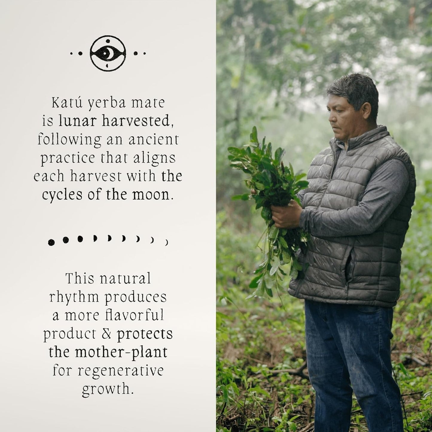 Katú Rosella Teabags, Premium Organic Yerba Mate Tea with Hibiscus, Peppermint, and Stevia Leaves, Vibrant Floral Twist, Natural Energy, 15 Satchets