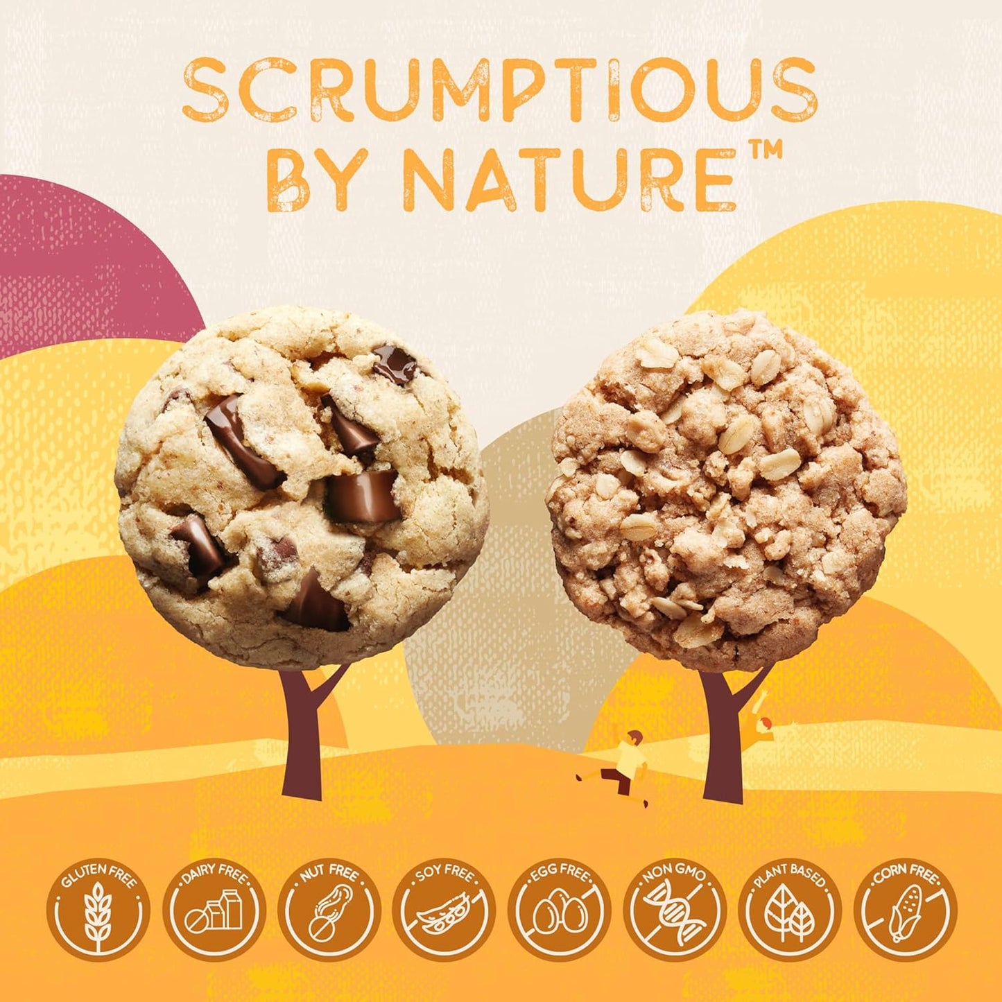 Autumn Sons Baking Co. Gluten Free Chocolate Chunk & Oatmeal Cinnamon Cookie Mix Combo Pack. Vegan Plant Based Baking Mix. Free From 11 Common Allergens. 9.3 oz (Pack of 2)