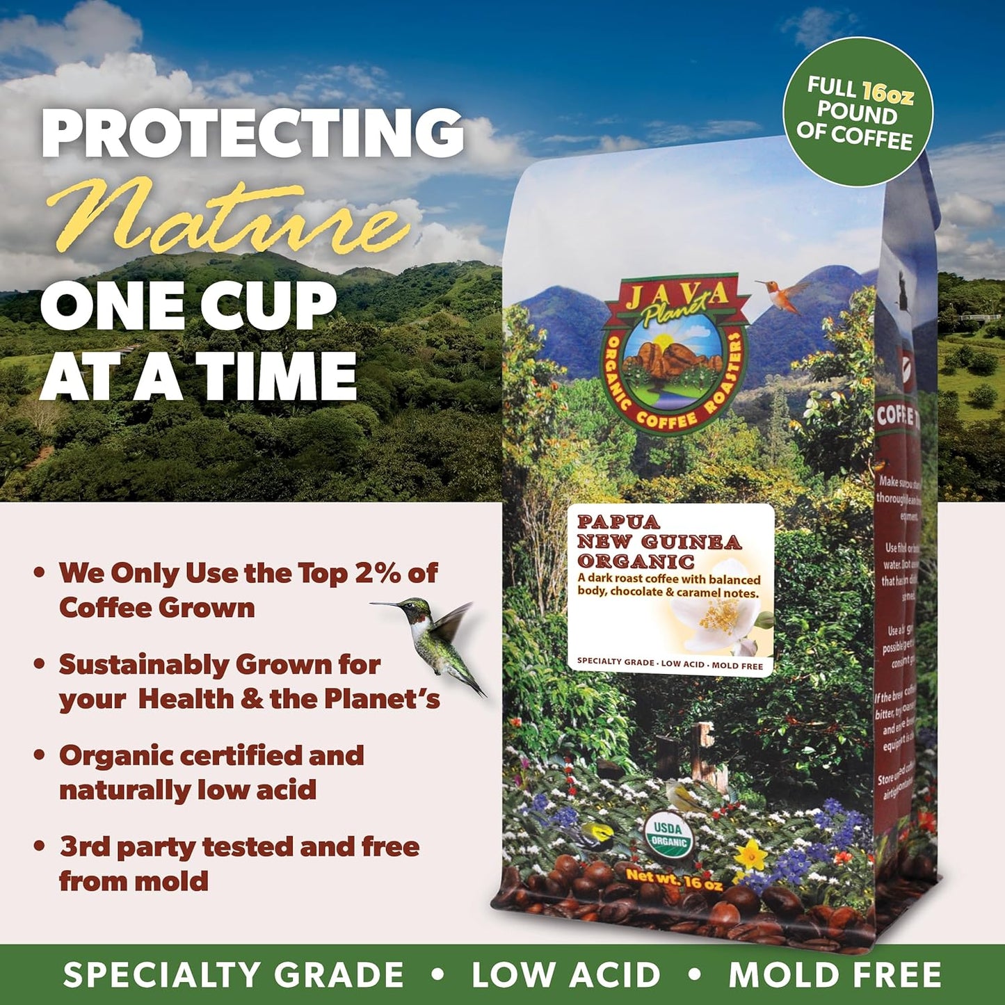 Low Acid Organic Coffee – Whole Bean, Mold-Free & Stomach Friendly by Java Planet, Papua New Guinea Single Origin Coffee, Dark Roast, Smooth Full Flavored, 2x1LB Bag