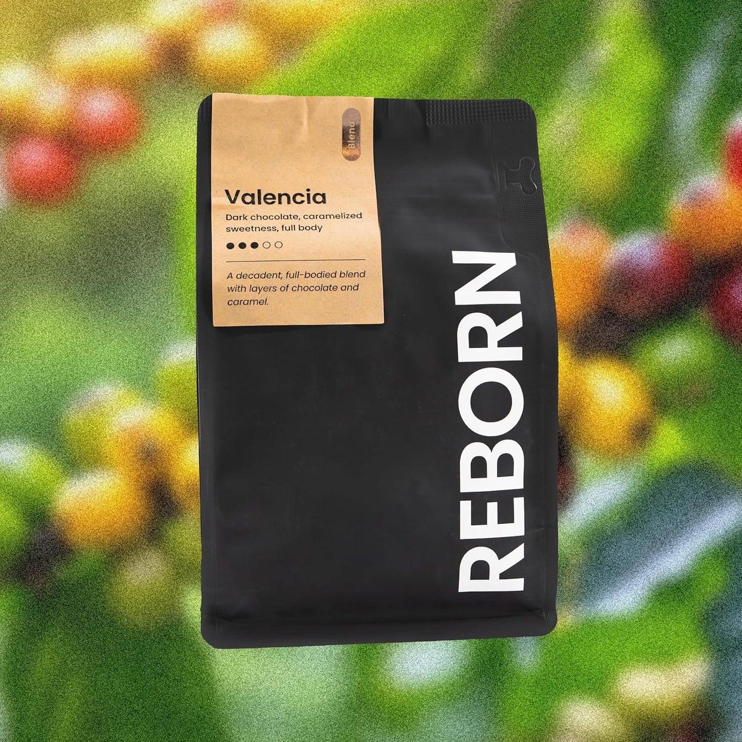 Reborn Coffee Specialty Whole Bean Coffee, Medium Roast, 12 Ounce, Premium Valencia Signature Blend, Flavor Notes of Chocolate, Nut, and Fruit