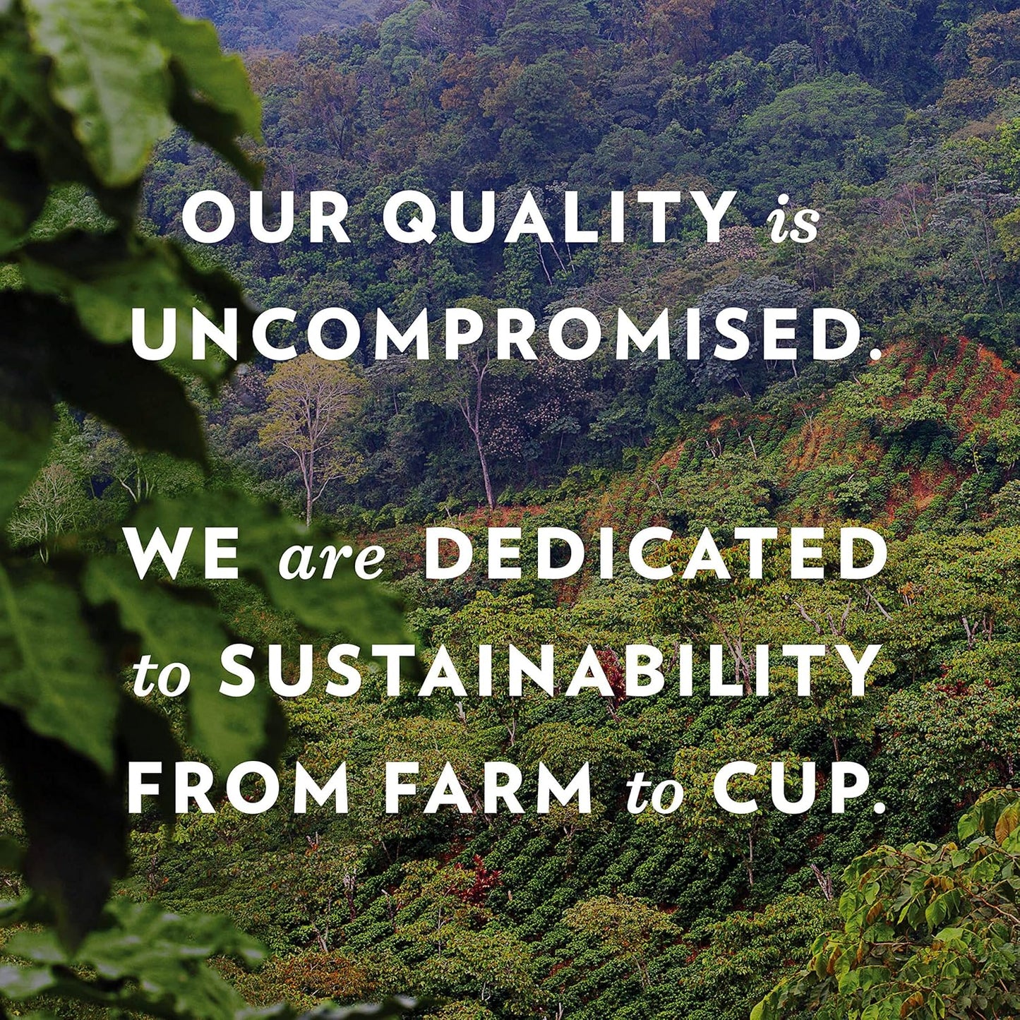 Community Coffee Mardi Gras King Cake Flavored 72 Count Coffee Pods, Medium Roast, Compatible with Keurig 2.0 K-Cup Brewers (Pack of 6, 72 Count)