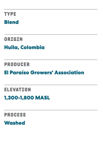 Joe Coffee Company - Nightcap Decaffeinated Whole Bean Specialty Coffee, 12 oz Bag | NYC Roaster, Rainforest Alliance Certified, Kosher, Climate-Friendly