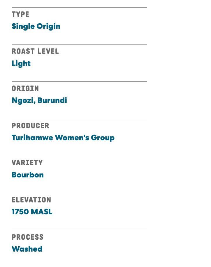 Joe Coffee Company - The Village Ground Specialty Coffee, 6 oz Bag | Women-Produced, NYC Roaster, Rainforest Alliance Certified, Kosher, Climate-Friendly