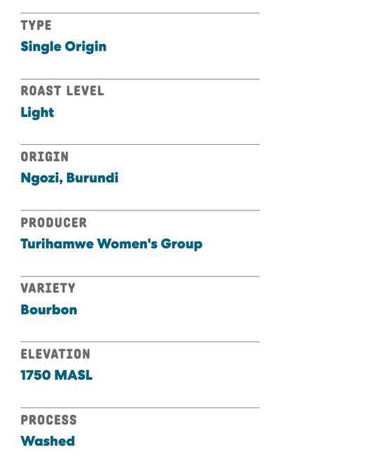 Joe Coffee Company - The Village Ground Specialty Coffee, 6 oz Bag | Women-Produced, NYC Roaster, Rainforest Alliance Certified, Kosher, Climate-Friendly