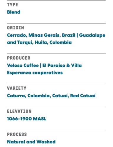 Joe Coffee Company (NYC Roaster), The Daily Ground Specialty Coffee, 12 oz Bag, Rainforest Alliance Certified, Kosher, Climate Friendly