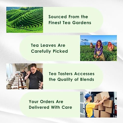 Tealeaf & Co. Turmeric Tulsi Holy Basil Green Tea - Turmeric, Tulsi & Peppermint Tea Blended with Fresh Herbs & Spices - Low Caffeine & Vegan - 100 Teabags (7.055oz/200gm)