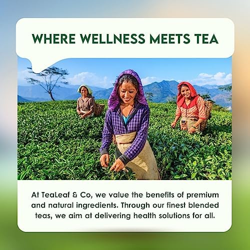 Tealeaf & Co. Lemon Ginger Green Tea with Ginger, Lemon Flavor, Orange Peel, Mint & Black Pepper - Organic Green Tea Bags with Fresh Herbs and Spices - Vegan - 100 Teabags (7.055oz/200gm)