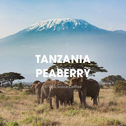 Tanzania Peaberry Coffee, Mount Kilimanjaro, Ground, Fresh Roasted, 5 lbs