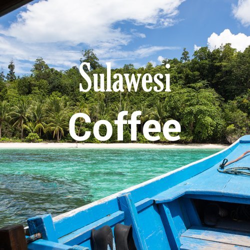 Sulawesi Coffee, Celebes Kalossi, Ground, Fresh Roasted, 5 lbs