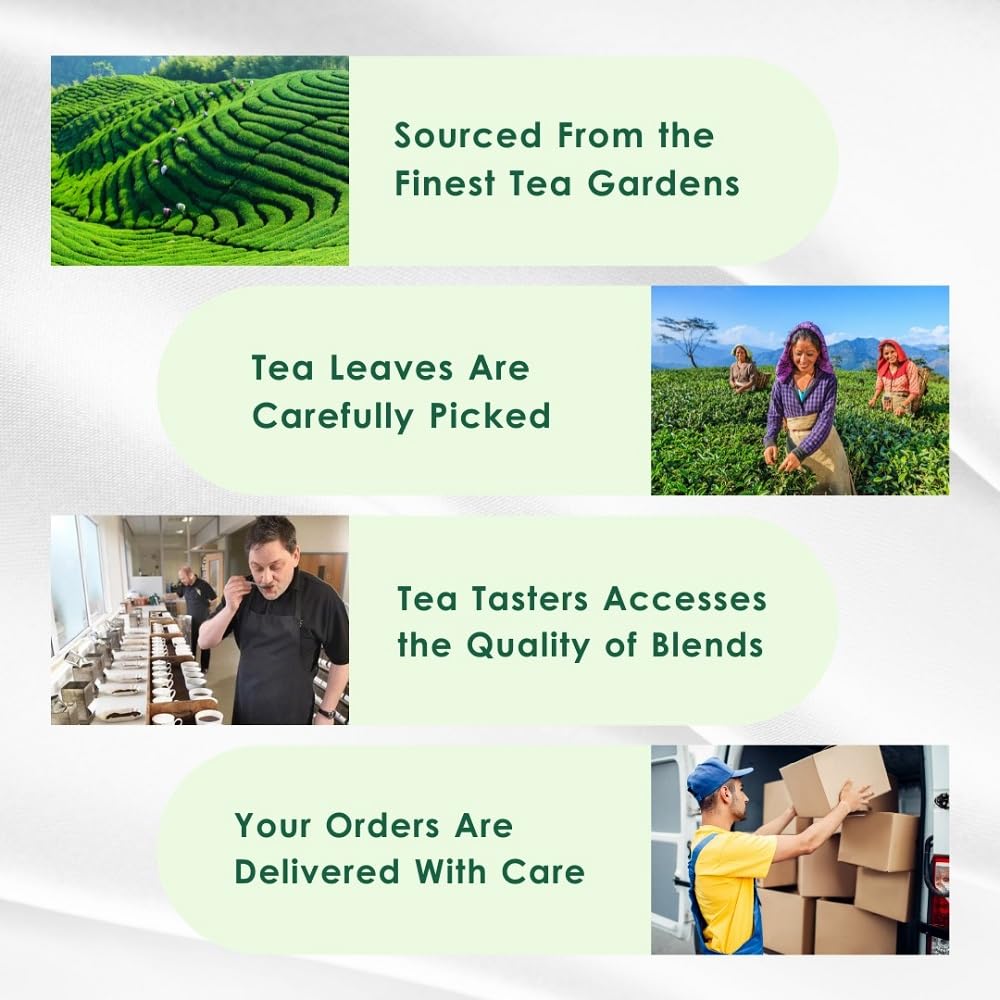 Mint Green Tea Bags (50 Count), Green Tea with Peppermint & Spearmint, Caffeinated, Real and Natural Green Tea, Blended with Fresh Herbs and Spices, Gluten Free