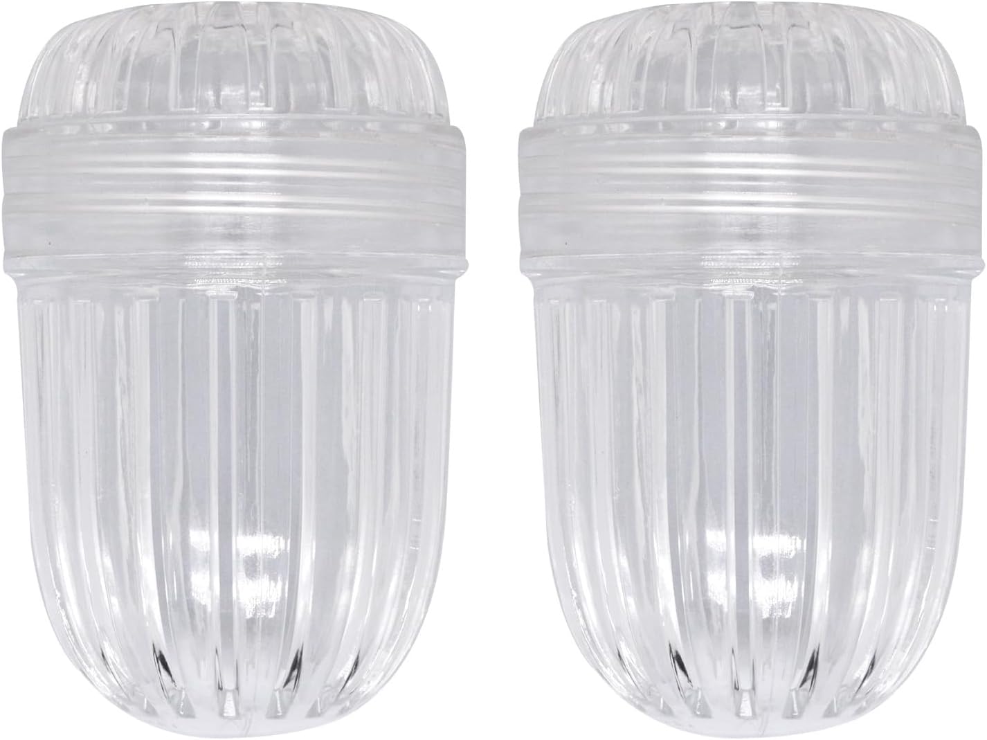 2 pcs Fruit Infuser Insert, Tea Infuser Bottle Ball for Wide Mouth Bottles