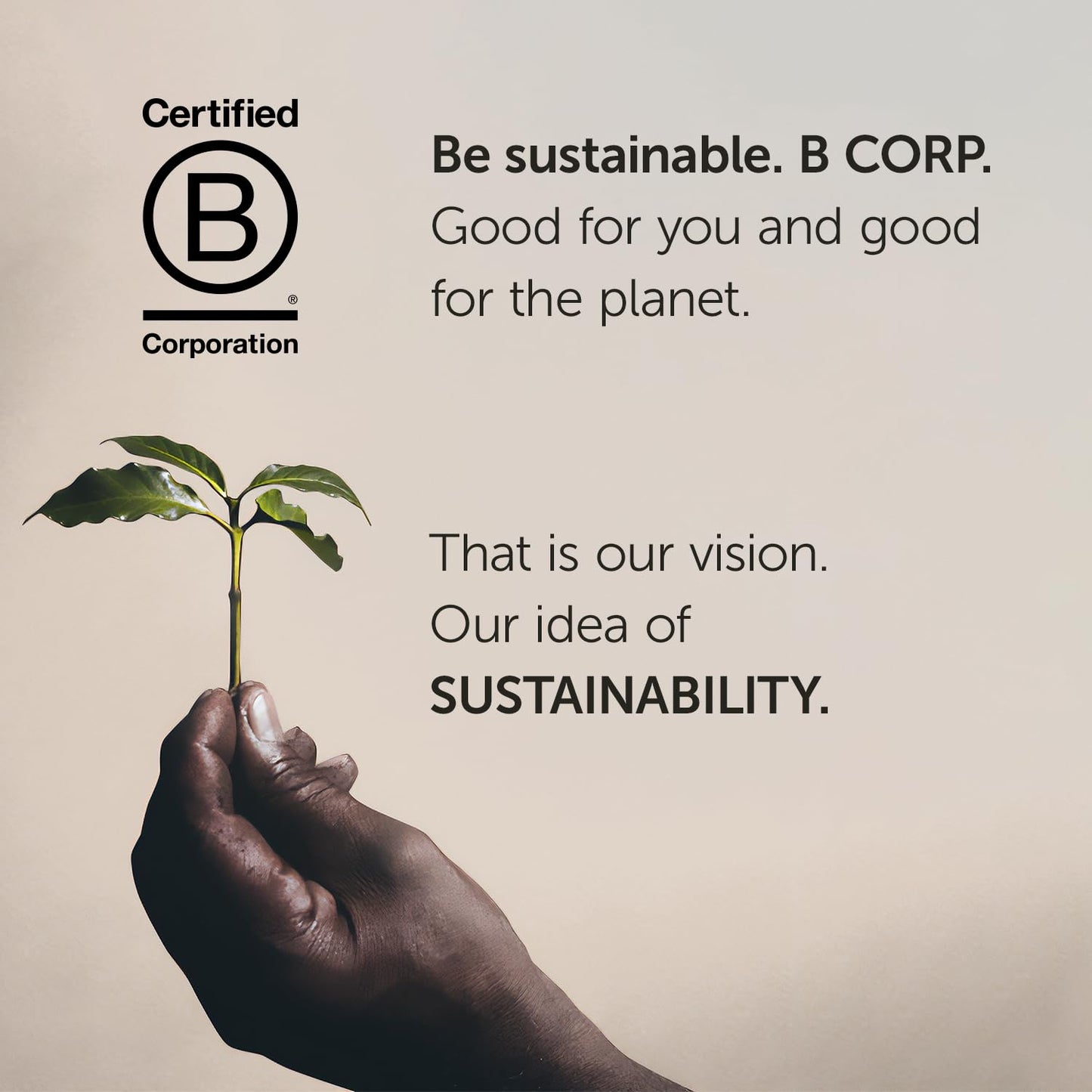 illy Ready To Drink Coffee - Cold Brew Cans - 100% Arabica Coffee - Smooth & Refreshing Taste - Convenient, Easy to Carry Coffee Drink – No Preservatives - 8.5 oz. (Pack of 4)