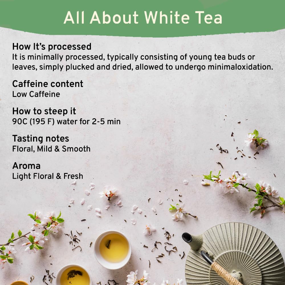 HANDPICK, Organic White Tea - 100 Tea Bags | USDA Organic, 100% Pure White Tea | Mild & Smooth | Packed in Eco-friendly Tea Bags