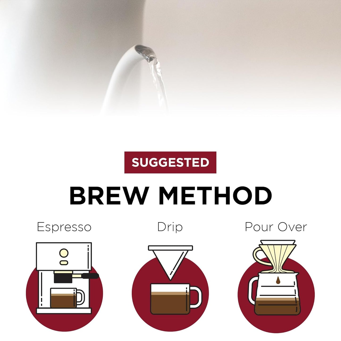 Fonte Coffee Roaster - Whole Bean Coffee - Medium-Dark Fresh Roast - Roasted in Seattle - Single Origin - Bright Lemon, Earthy Peat, Bittersweet Chocolate - 12 oz - First Avenue