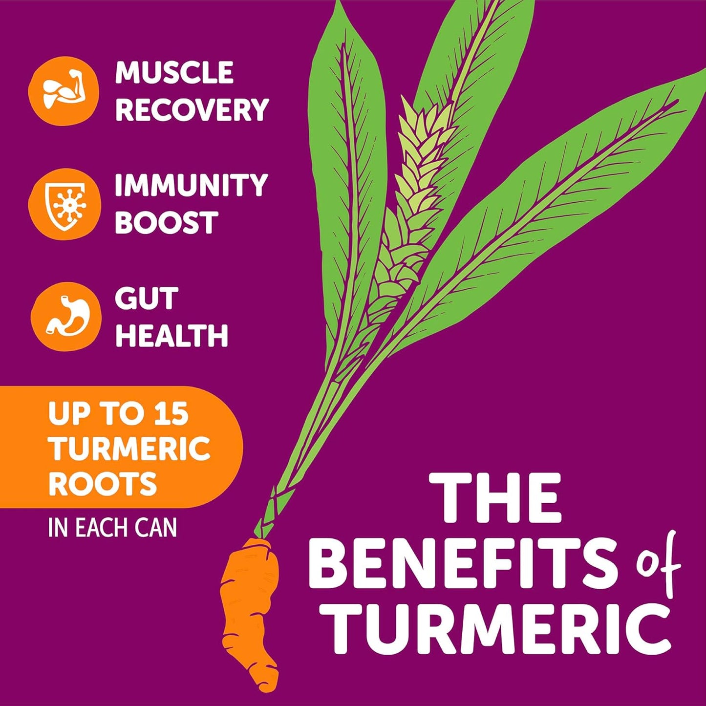 ZYN Turmeric Wellness Drink (6 Pack), Pomegranate Cranberry Flavored Turmeric Curcumin Drink with Black Pepper, No Added Sugar, Low Carb & Low Calorie Drink, Clean Alternative