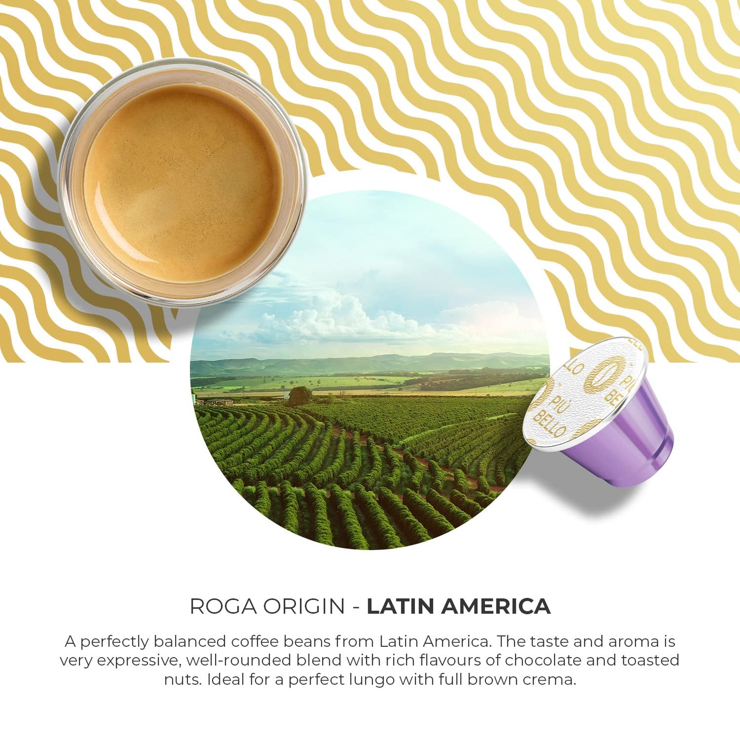 Piu Bello Coffee Pods - Nespresso Machine (Original) Compatible Capsules Pack - Rich & Balanced Taste - Strong Italian Espresso Flavored - Kosher Certified (120 Count Single Flavor) (Roga)