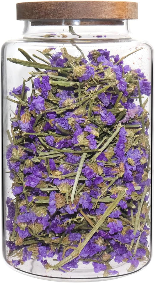 Vacuum Coffee Canister Glass Food Storage Jars With Airtight Lids Borosilicate Glass Coffee Canister Container for Coffee Beans & Grounds Tea Sugar Spices Kitchen (94oz(2800ml)-A-1pack)