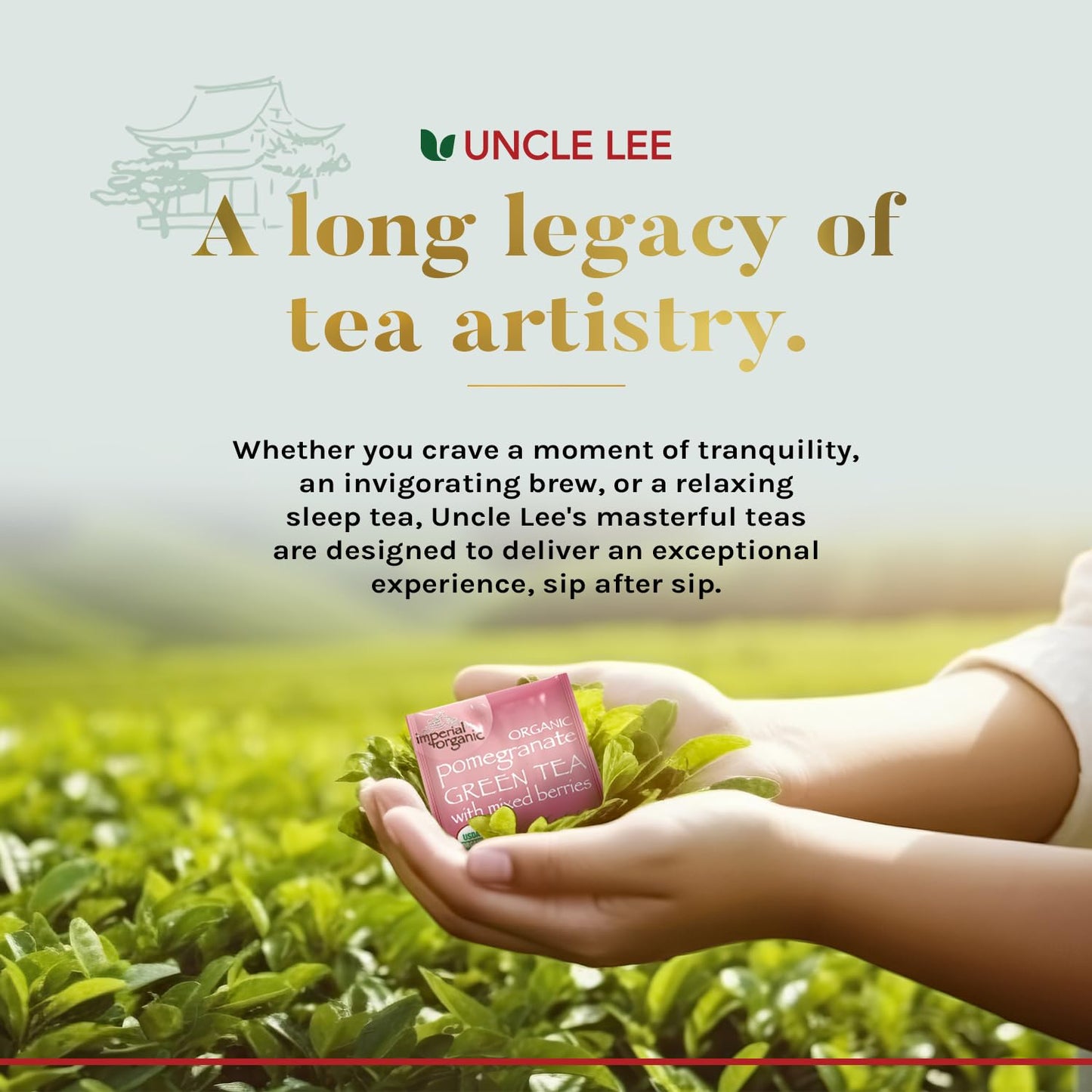 Uncle Lee’s Organic Tea Variety Gift Set – Wellness Collection with 8 Teas (6 Bags Each) in a Premium Gift Box, 3.3 Oz