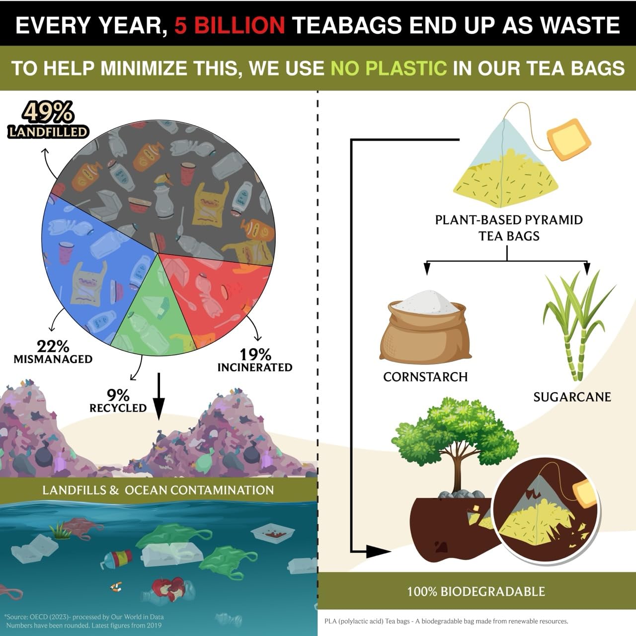 BREWIX, Bergamot Green Tea (25 Pyramid Tea Bags) | Caffeinated Tea Loose Leaf Earl Grey Green Tea With Pure Bergamot | High Elevation Grown