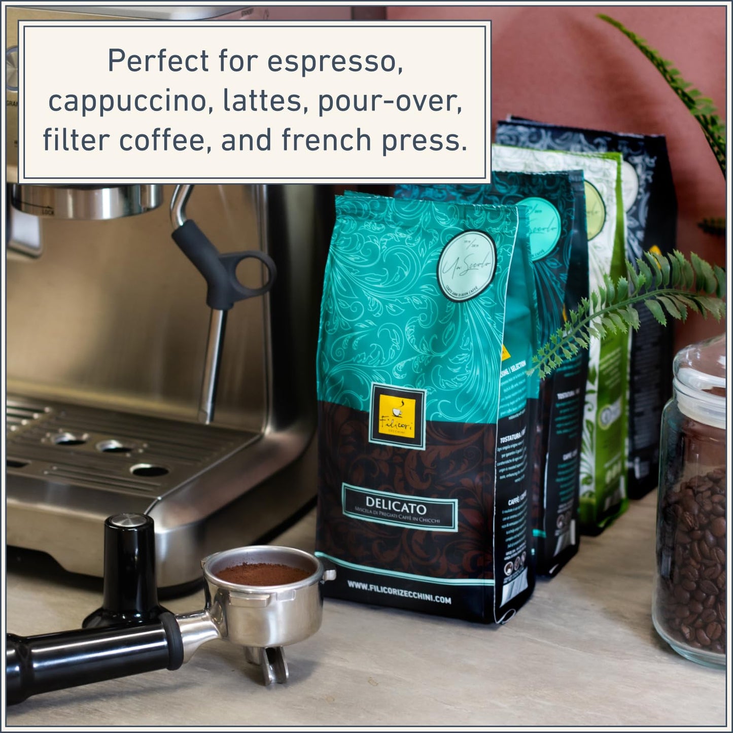 Filicori Zecchini Italian Espresso Beans – Whole Bean Coffee, Bold Dark Roast Arabica & Robusta Blend Roasted in Bologna – Slow Roasted Forte 340g