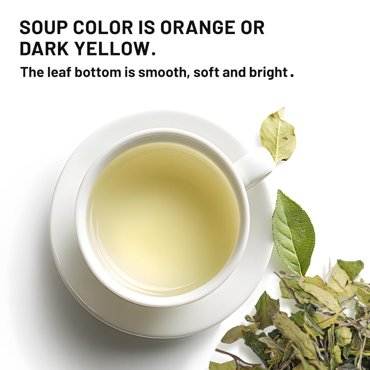 iTeaworld Gongmei White Tea Spring Harvest - Premium Chinese Tea from Fuding Fujian, Low Caffeine Multiple Steeping, Smooth Mellow Taste - Perfect for Daily Drinking & Relaxation - Ideal for Tea Enthusiasts 1 Pack(1.76oz)