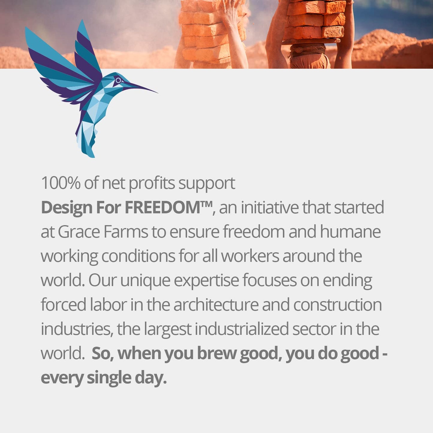 Grace Farms ROOIBOS CHAI Herbal Teas (50 count) | Naturally Sweet, Healthy and Caffeine Free | Organic, Fair Trade and Kosher Certified | Gives Back 100% of Profits