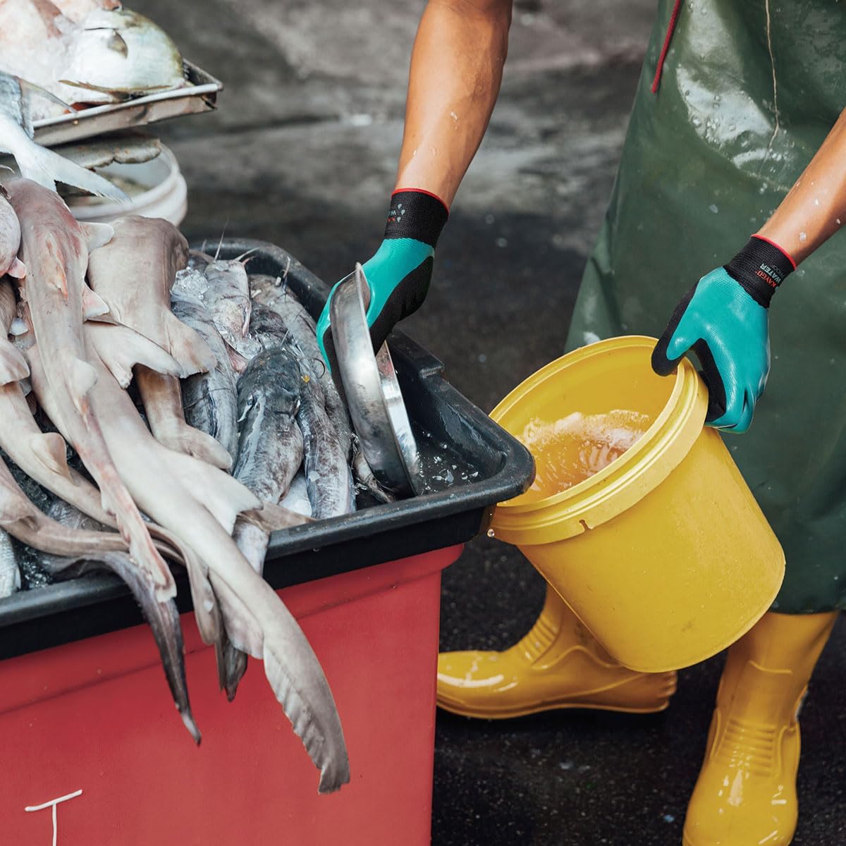 KAYGO Waterproof Work Gloves for Men and Women, Rubber Coated Non-slip Working Gloves for Garden, Outdoor Construction,3 pairs,Blue,M