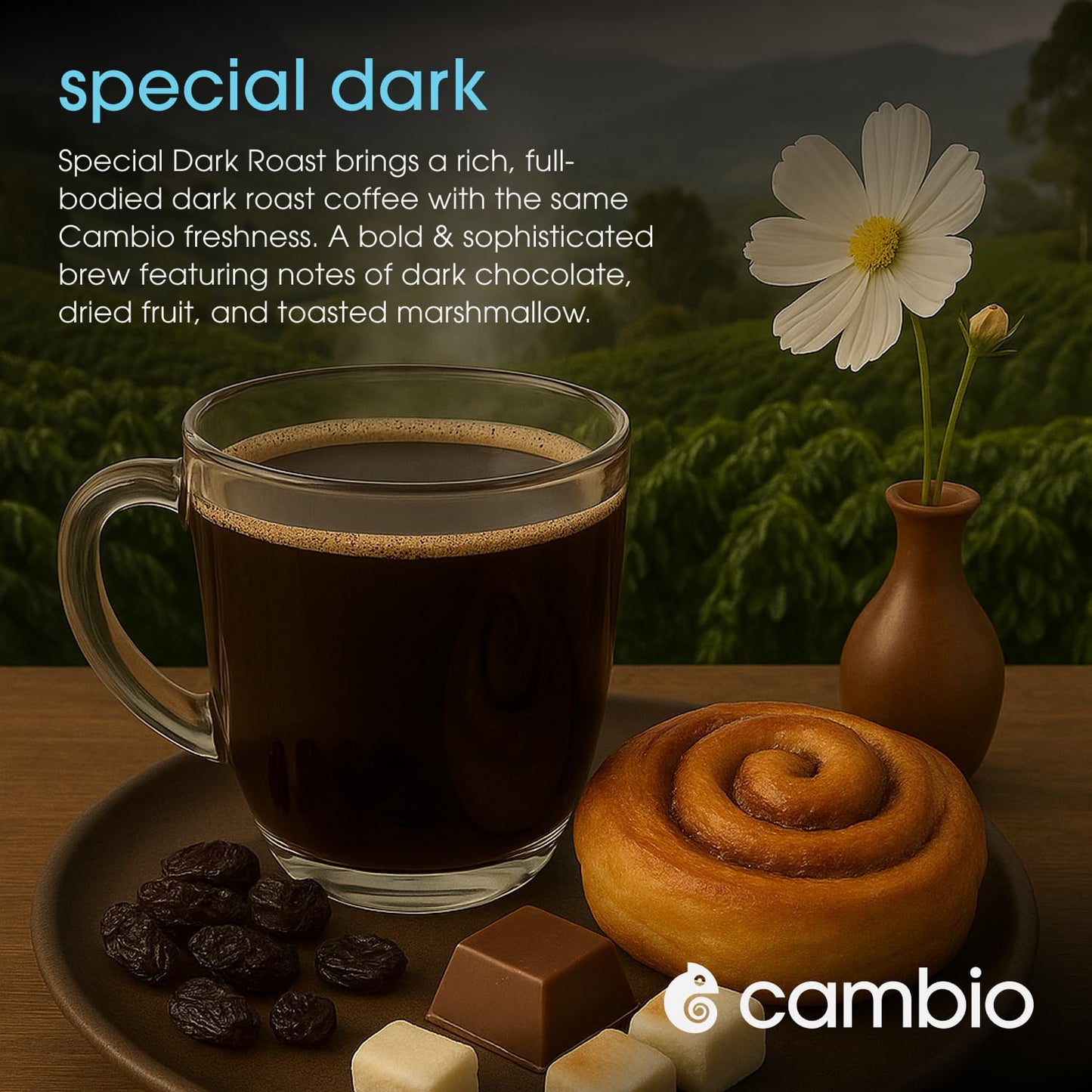 Cambio Roasters® Dark Roast Coffee Pods Recyclable Aluminum K Cup Dark Roast Coffee Pods Dark Roast, 10 Count, KCup Compatible, 100% Arabica Beans