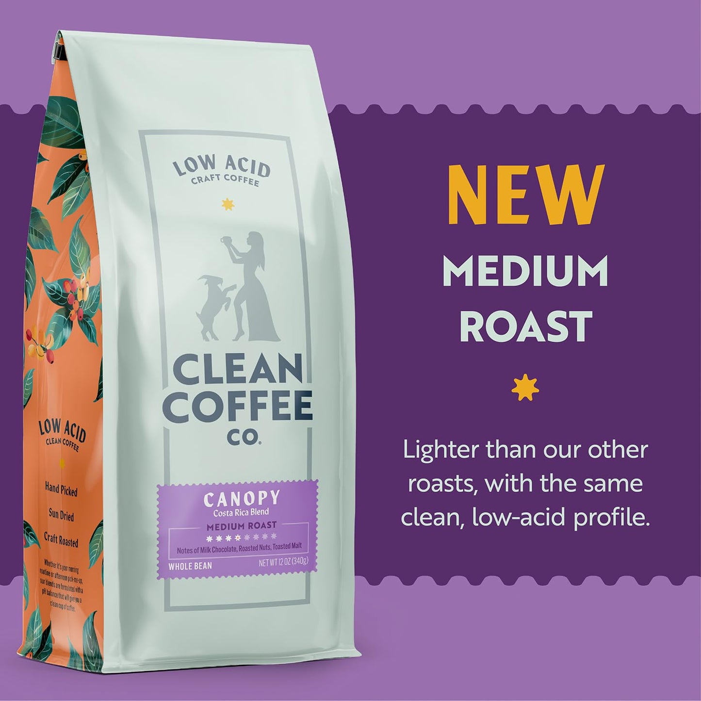 Clean Coffee Co. - Low Acid Medium Roast, Tested for Molds and Toxins, Costa Rica Blend, Notes of Milk Chocolate, Roasted Nuts, Toasted Malt (Whole Bean, 12 oz Bag)