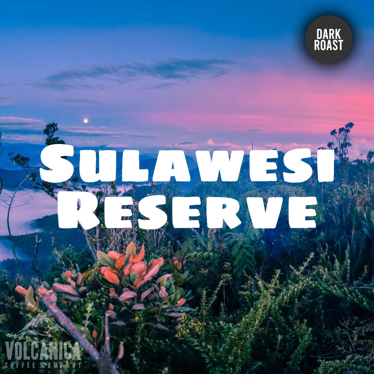 VOLCANICA COFFEE COMPANY Sulawesi Reserve Coffee, Dark Roast, Celebes Kalossi, Whole Bean, Fresh Roasted, 16-ounce