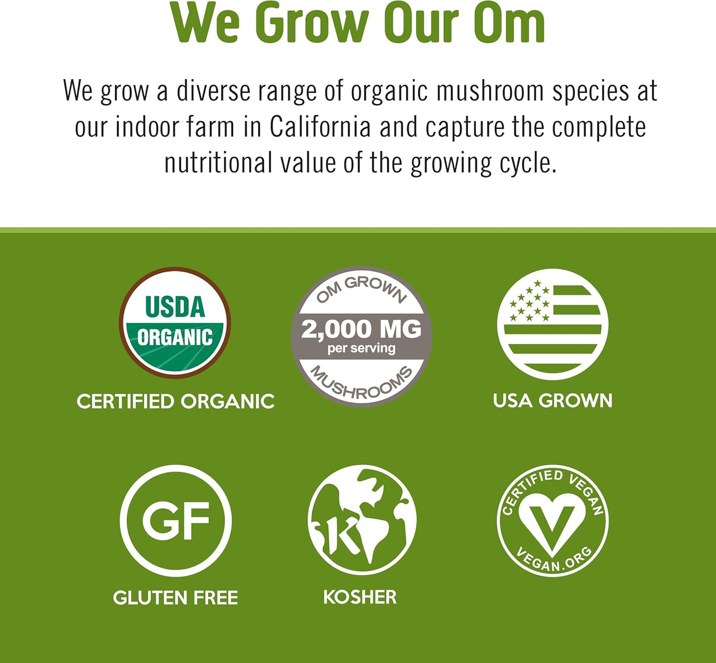 OM MUSHROOM SUPERFOOD Matcha Latte Blend Mushroom Powder, Single Serve, 10 Count, Green Tea, Lion's Mane, Reishi, Chaga, Turkey Tail, Focus & Stress Support Supplement