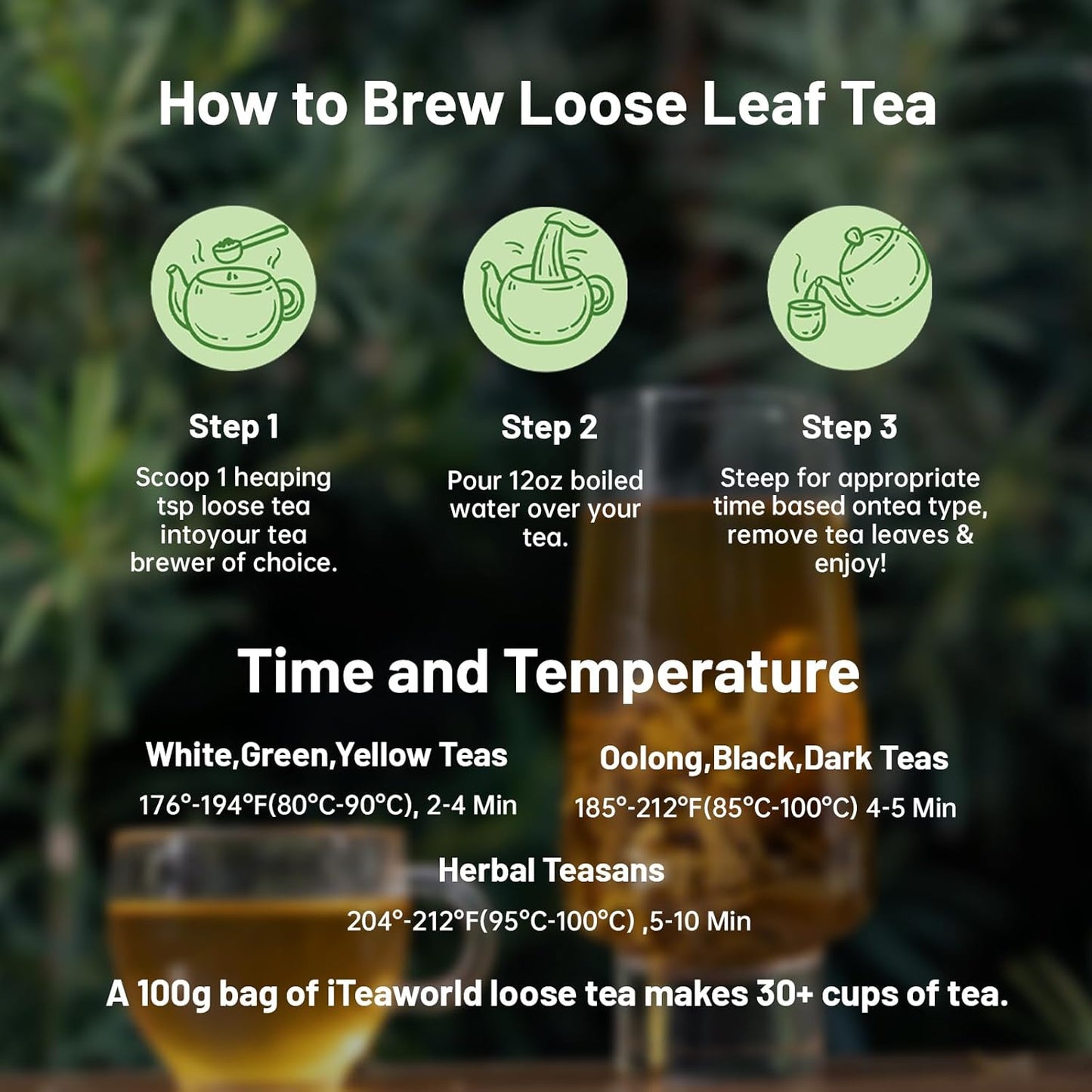 iTeaworld Chinese Green Tea Sampler - 6 Flavors Green tea loose leaf Bag - Chinese Tea With Mediumly Caffeinated, Sugar Free Loose Leaf Tea for Health Come with 20 Tea Bags, 3.5oz