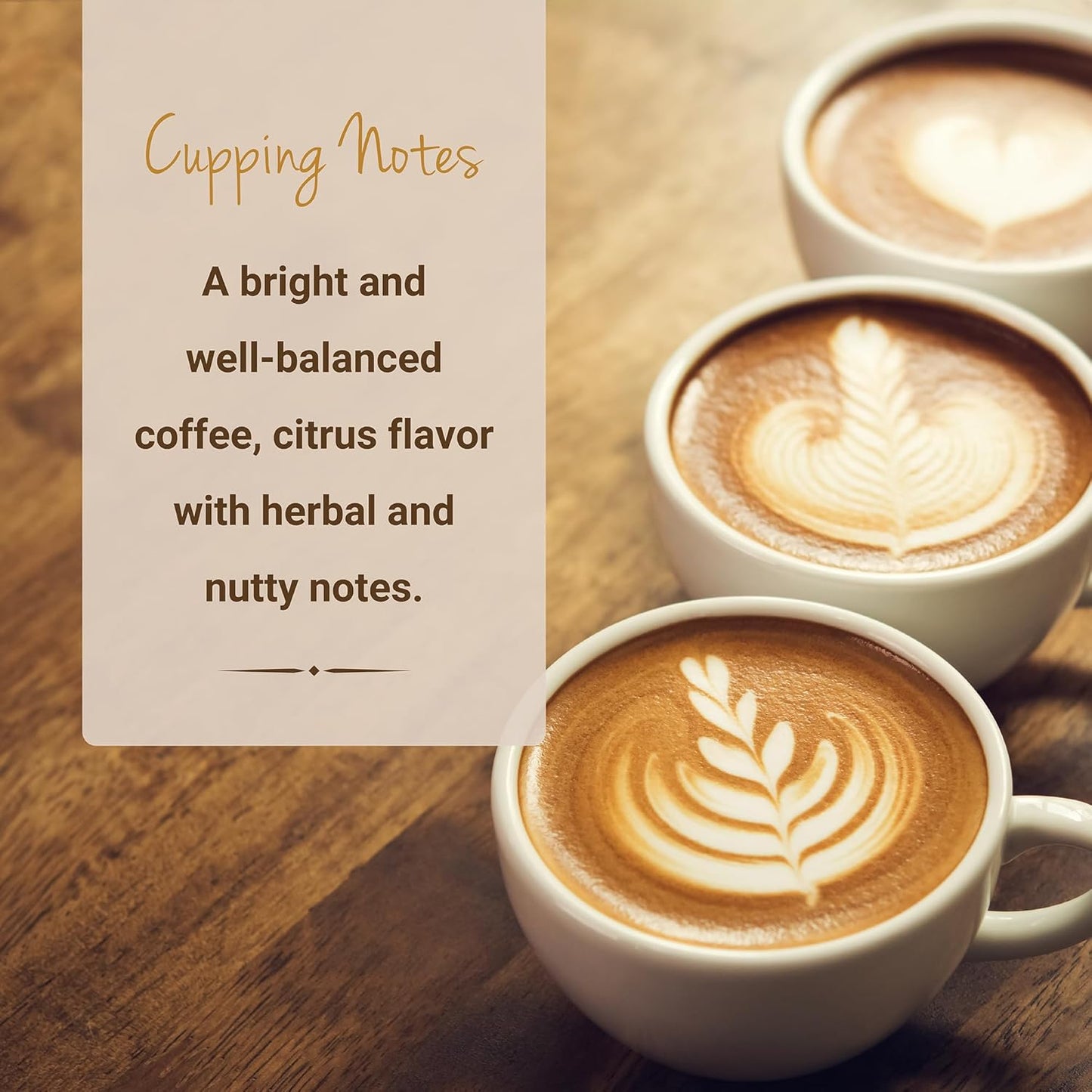 Nicaraguan Coffee, Single Serve Coffee Pods, Premium Nicaragua Segovia Single Origin Fresh Roasted Coffee | K-Cup Compatible Brewers | Cubico Coffee | 10 Count