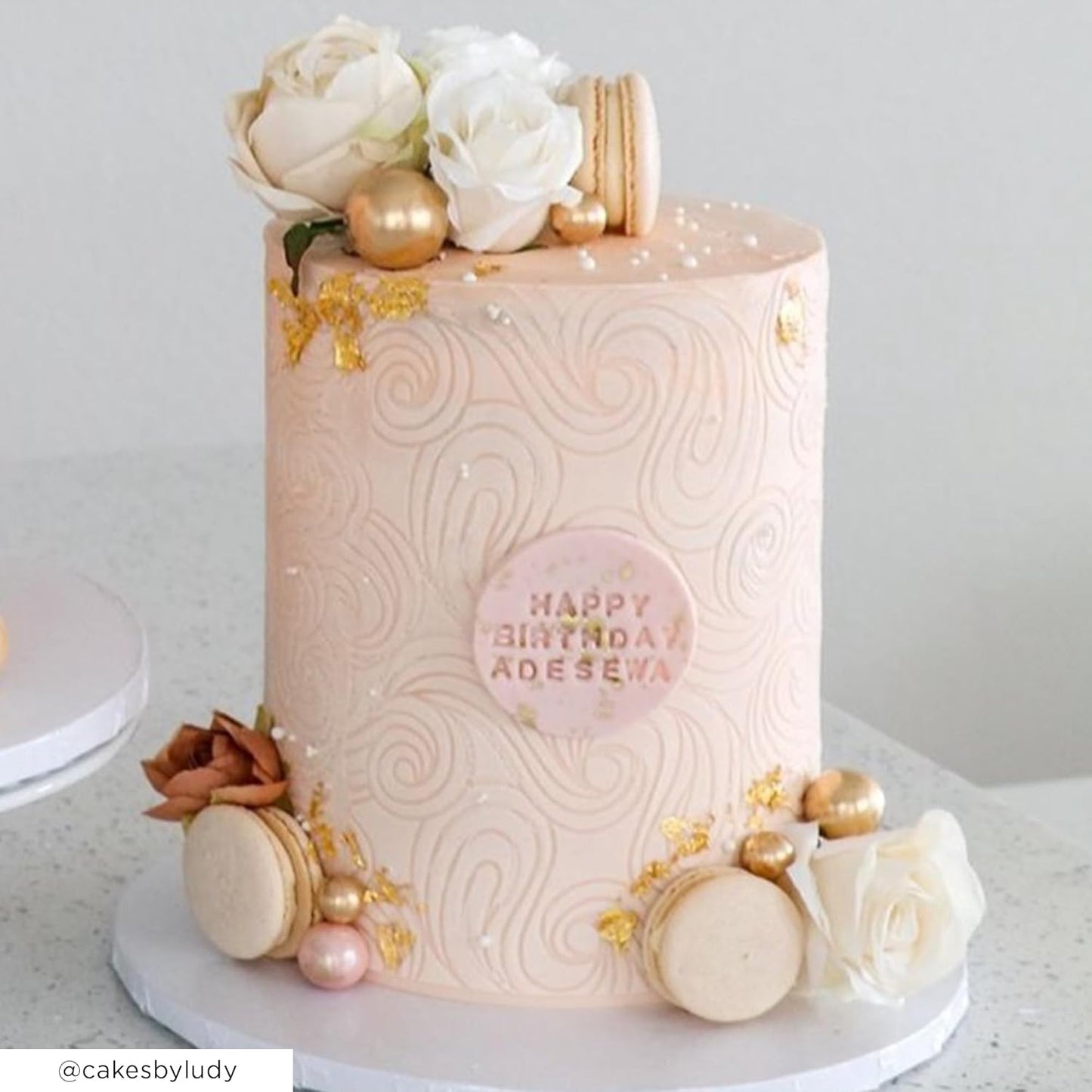 Cake Stencil - Seamless Delicate Pattern for Decorating Tall Double Barrel Cake to Use with Buttercream, Royal Icing, Ganache, Paint, Airbrush (Andra)