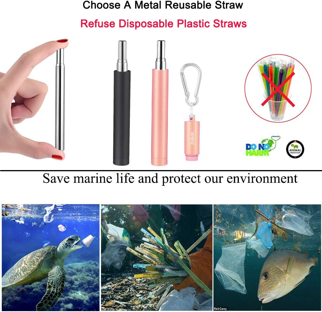 2 Pack Reusable Metal Straws Collapsible Stainless Steel Drinking Straw Travel Portable Telescopic Straw with Case for Cruise Ship Essentials Black/Rose Gold