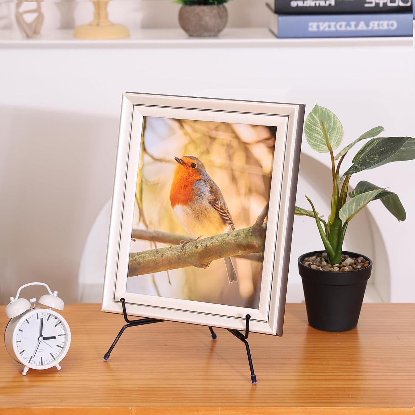 2-Pack Upgraded Anti-Slip Plate Stands for Display, 10 Inch Decorative Iron Plate Holders, Easel, Frame, Book, Card, Plaque, Picture Display Stands