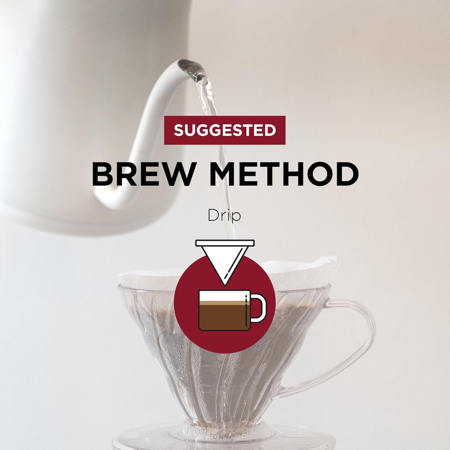 Fonte Coffee Roaster - Whole Bean Coffee - Medium-Dark Fresh Roast - Roasted in Seattle - Single Origin - Bright, Chocolately, Balanced - 12 oz - Fonte AA