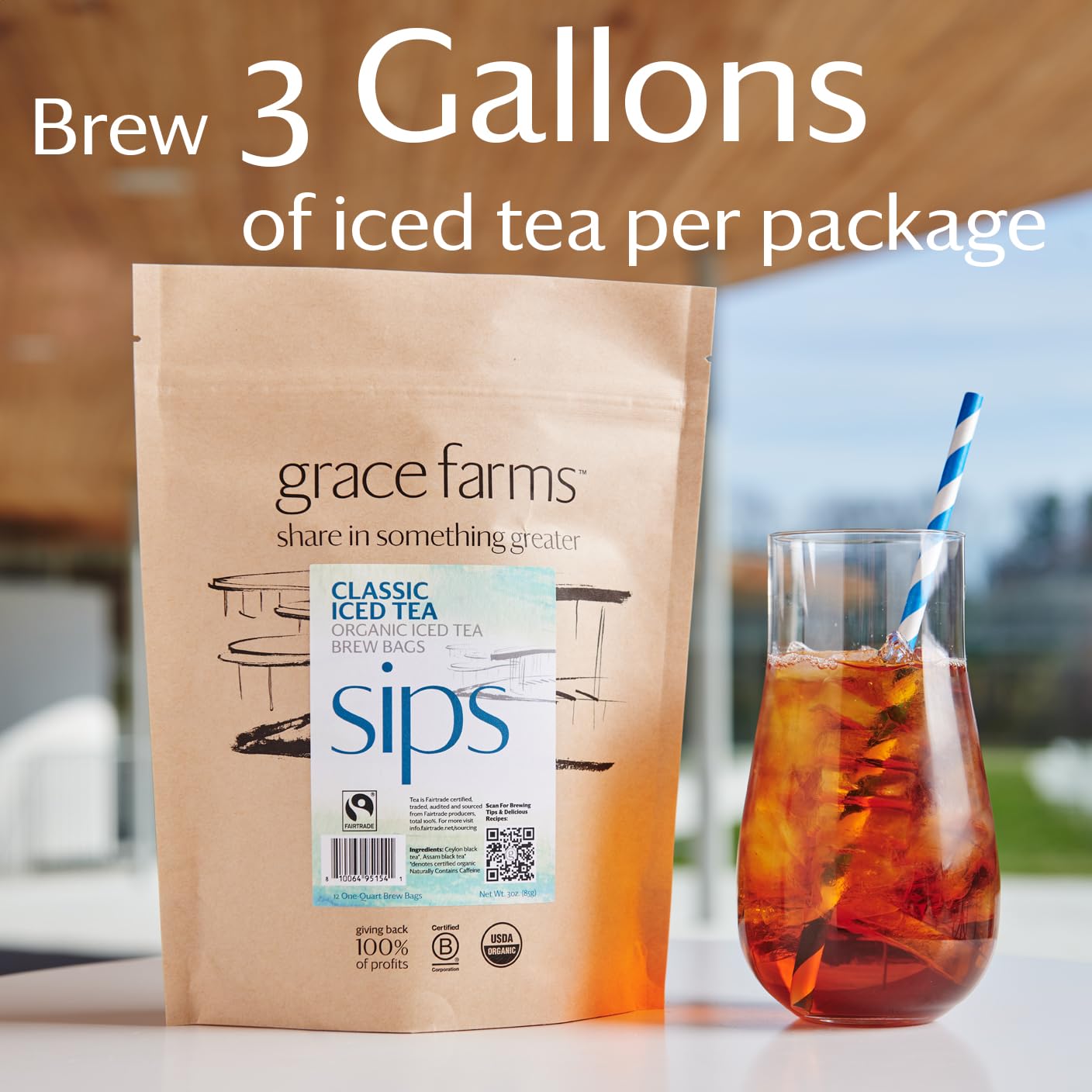 Grace Farms CLASSIC ORGANIC ICED TEA (Twelve 1qt. Brew Bags, 3 Gallons) | Premium Bold & Brisk | Easy Cold Brew 3 Gallons | Gives Back 100% of Profits