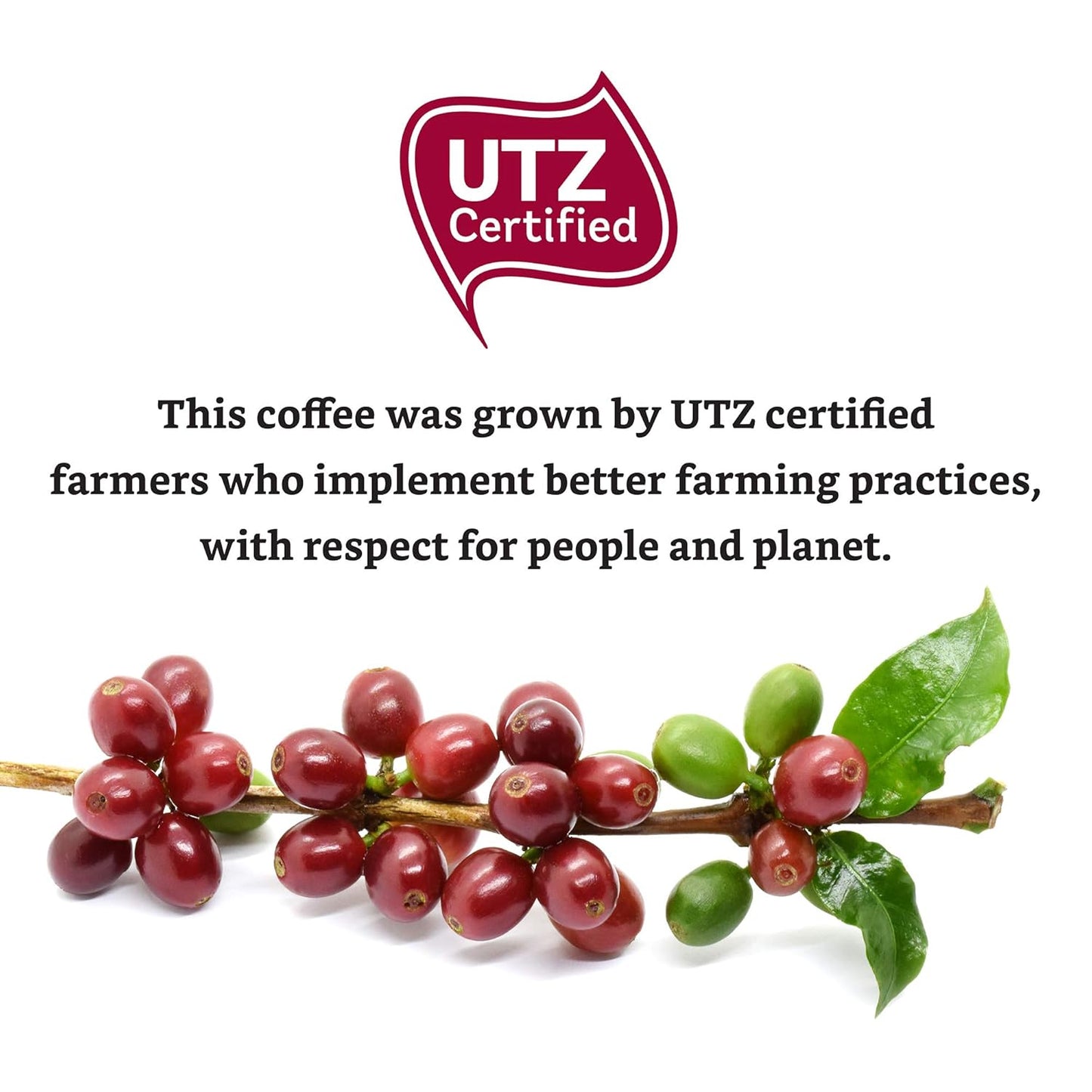 Amazon Brand - Solimo Ristretto Capsules, Dark Roast, Compatible with Original Brewers, Pack of 1x50 Capsule (50 count)