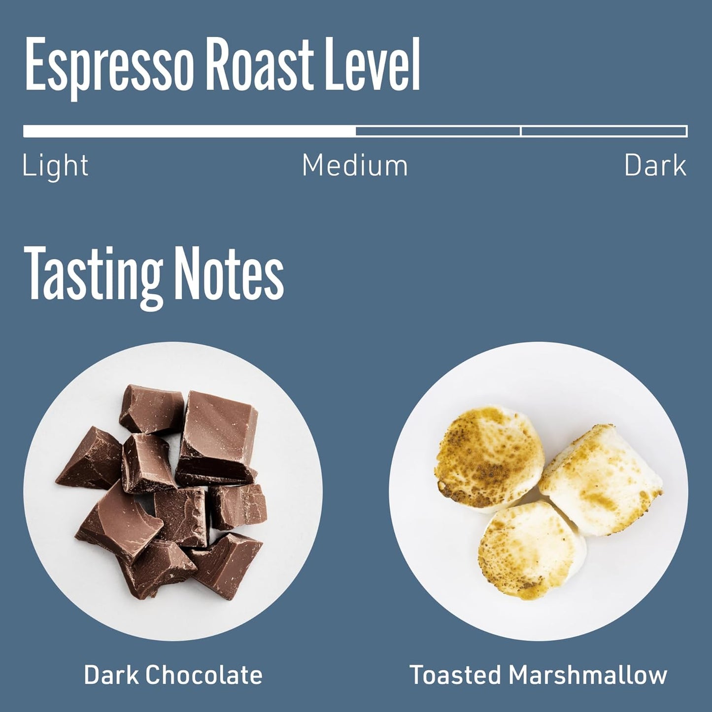 Intelligentsia Coffee, Medium Roast Whole Bean Coffee - Black Cat Analog Espresso 12 Ounce Bag