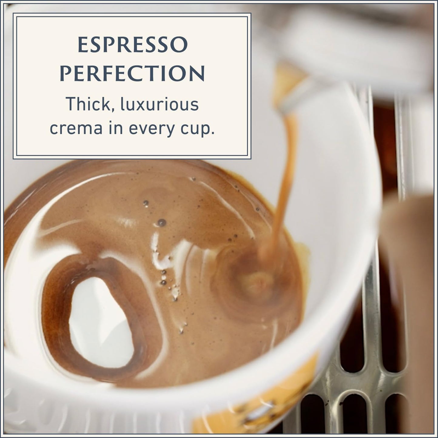 Filicori Zecchini Italian Espresso Beans – Whole Bean Coffee Medium Roast Arabica & Robusta Blend – Low Acidity, Slow Roasted – Delicato 340g