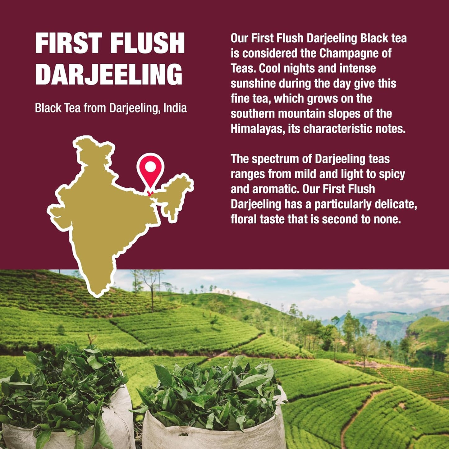 Tiesta Tea - First Flush Darjeeling Black Tea, Loose Leaf, Single Origin Premium Black Tea from India, Pure High-Caffeinated Blend, Makes Hot or Iced & Up to 200 Cups, 16oz Resealable Bulk Pouch