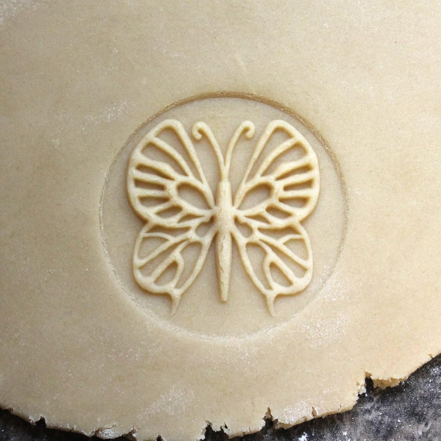 Wood Cookie Stamp, 2.5 Inch (Butterfly CS-013)
