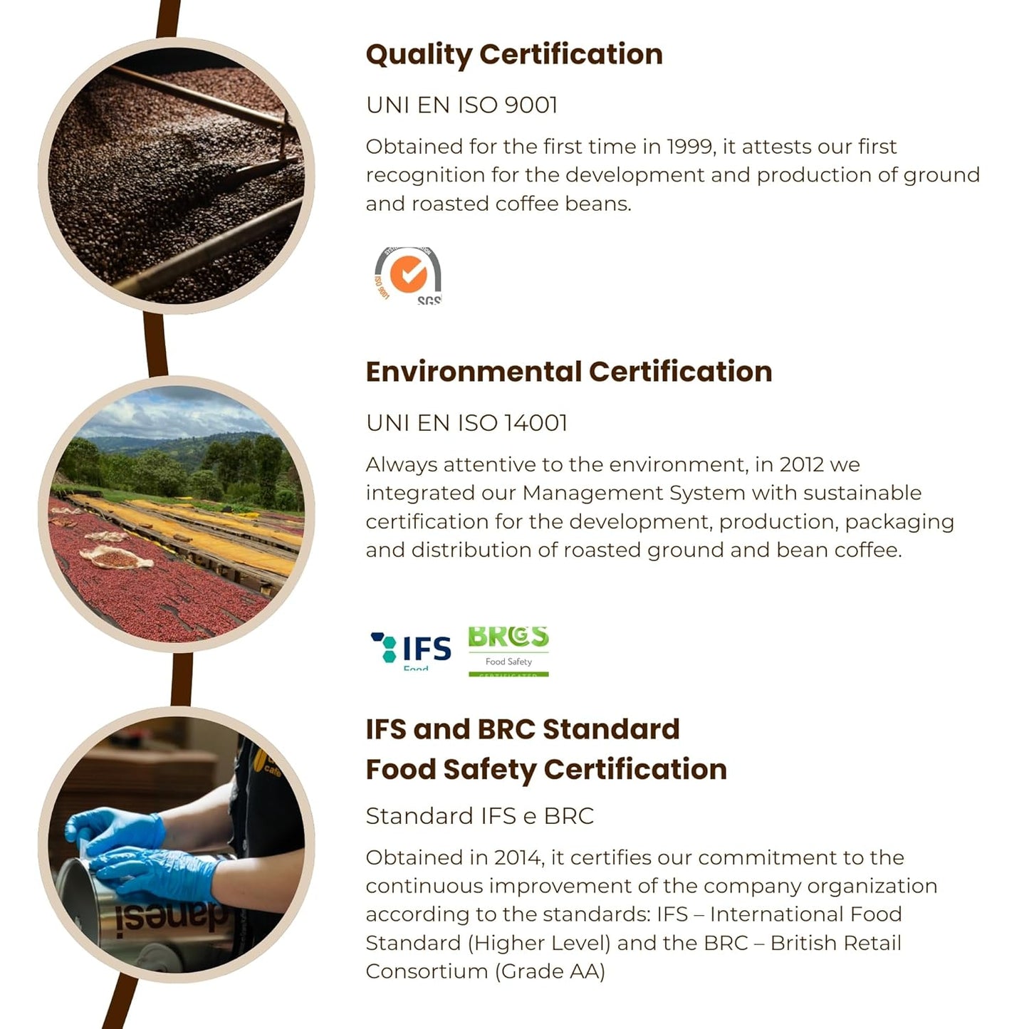 Danesi Caffe Italian Whole Coffee Beans - Espresso Coffee Beans and Medium Roast Whole Bean - Perfect for Espresso Machines, French Press, and Home Brewing - Gold (6.6 lb)