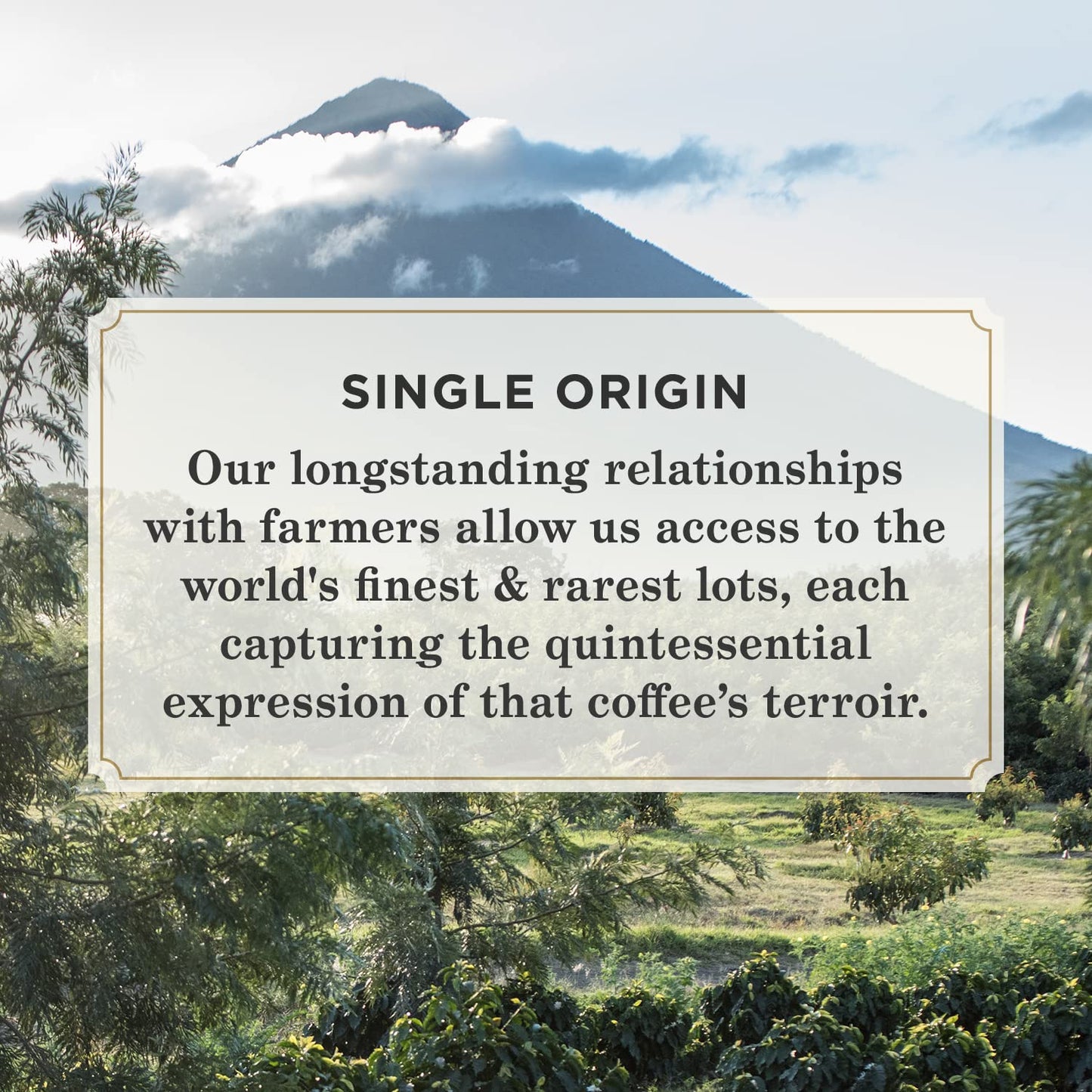 Peet's Coffee, Dark Roast Keurig K-Cup Pods - Single Origin Sumatra 32 Count (1 Box of 32 K-Cup Pods)