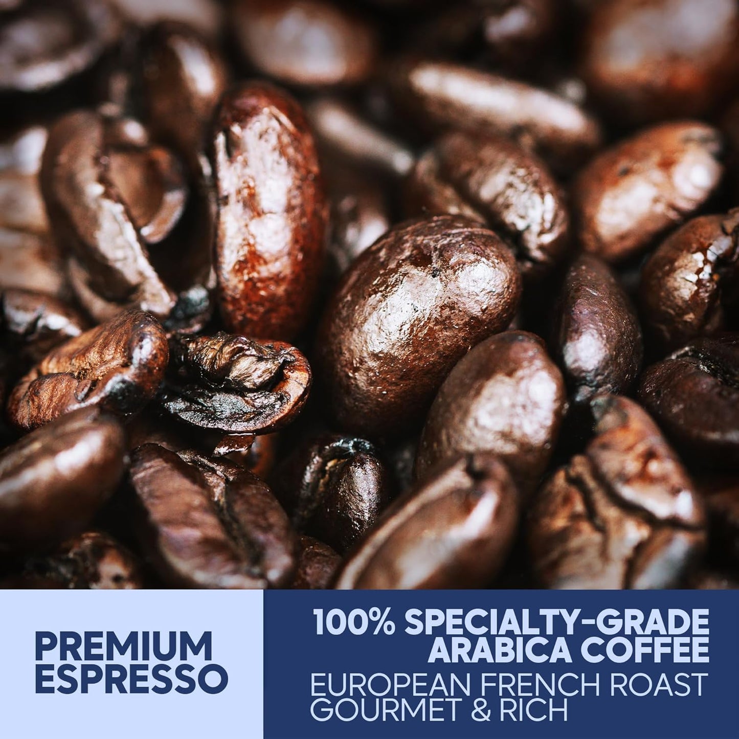Sarasota Coffee Whole Bean Espresso | Dark Roast Gourmet Coffee Beans | Low Acid, Mold Free, Specialty Grade Bulk Beans | 5lb (80 oz)