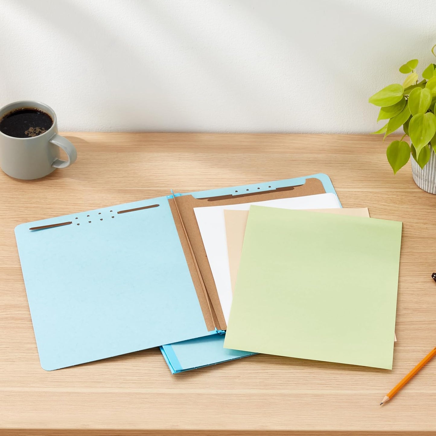 Amazon Basics Classification Folder- 100% Recycled, 1 Divider, 2" Embedded, 10 Count per Box, 12.20 x 10.61 inch (Letter), Light Blue